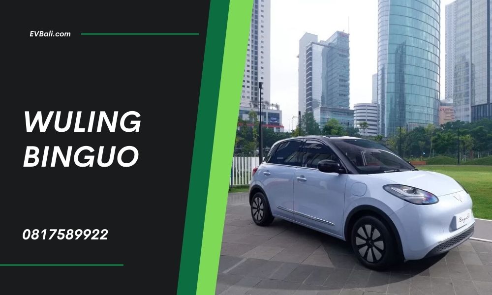 sewa mobil listrik wuling binguo di bali