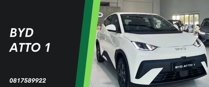 BYD Atto 1